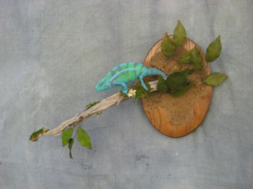 Panther chameleon mount; Denver, Colorado