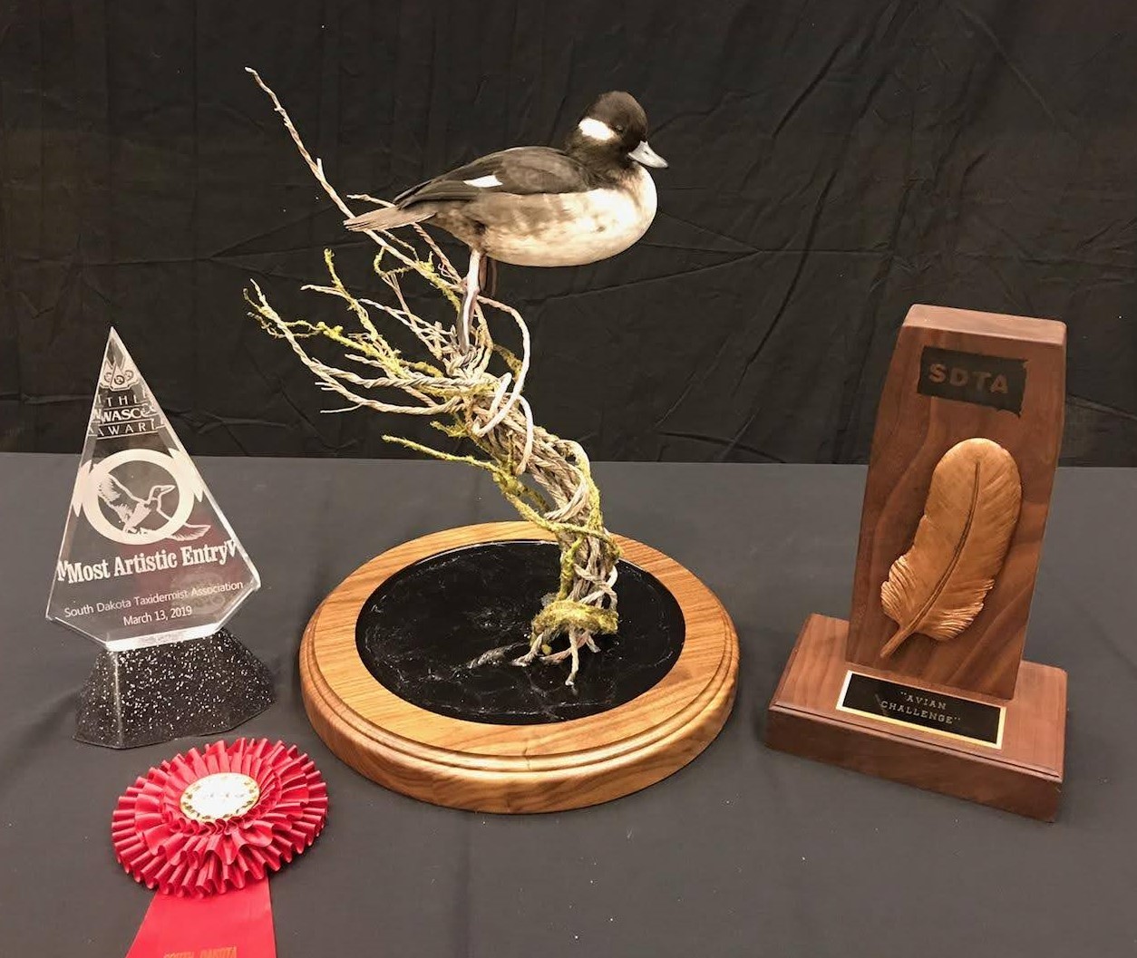 Showpiece Taxidermy South Dakota's National AwardWinning Taxidermist