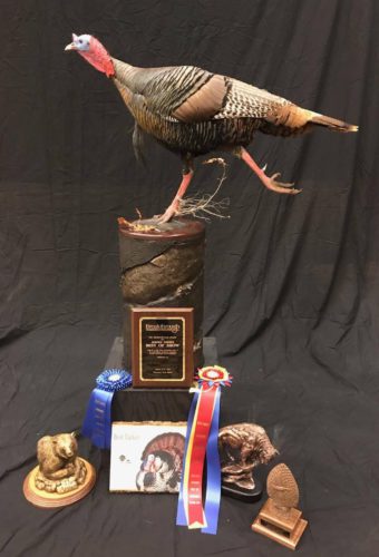 Turkey Mount; South Dakota Taxidermy Competition Awards